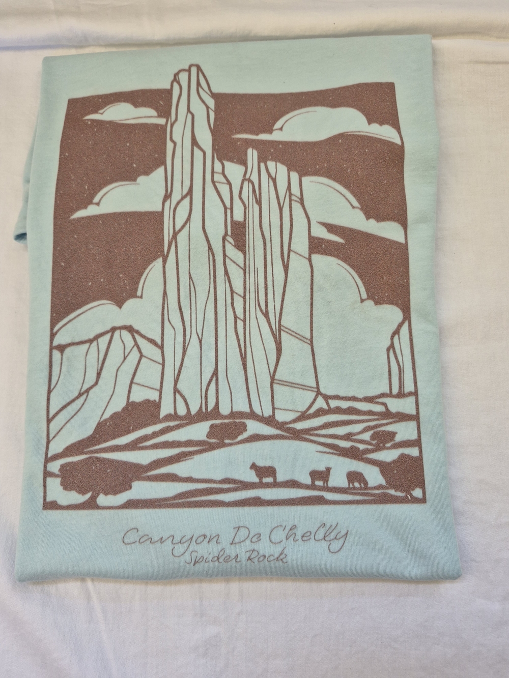 Canyon De Chelly Spider Rock Unisex Graphic Tee - Light Blue with Brown Print